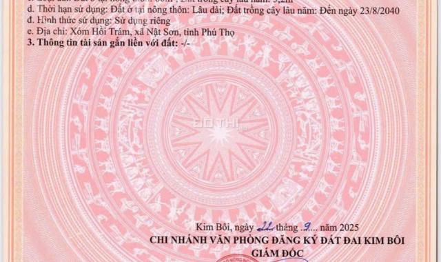 “Đất nền nghỉ dưỡng Kim Bôi – Sổ hồng riêng, hạ tầng hoàn thiện, sinh lời bền vững!