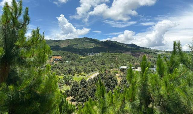 6000m² đất QH thổ cư mặt tiền B'Lao Xê Rê, view 360, khu dân cư hiện hữu, phường 3, TP Bảo Lộc