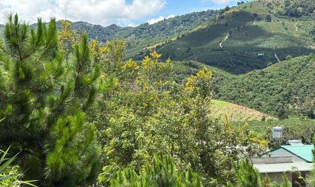 6000m² đất QH thổ cư mặt tiền B'Lao Xê Rê, view 360, khu dân cư hiện hữu, phường 3, TP Bảo Lộc