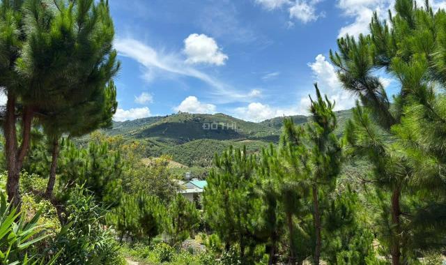 6000m² đất QH thổ cư mặt tiền B'Lao Xê Rê, view 360, khu dân cư hiện hữu, phường 3, TP Bảo Lộc