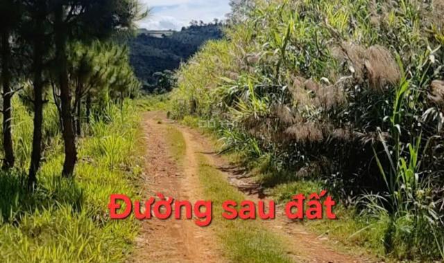 🌿LÔ ĐẤT 540M² (200M² THỔ CƯ) – MẶT TIỀN ĐƯỜNG CHÍNH HỒ NGỌC, BẢO LỘC