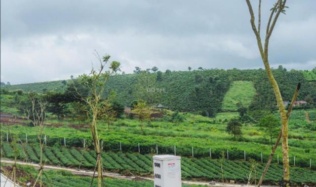 🏡LÔ ĐẤT 102M² FULL THỔ CƯ – HẠ TẦNG HOÀN CHỈNH, TRUNG TÂM BẢO LỘC