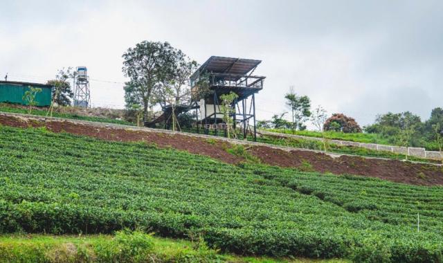 🏡LÔ ĐẤT 102M² FULL THỔ CƯ – HẠ TẦNG HOÀN CHỈNH, TRUNG TÂM BẢO LỘC