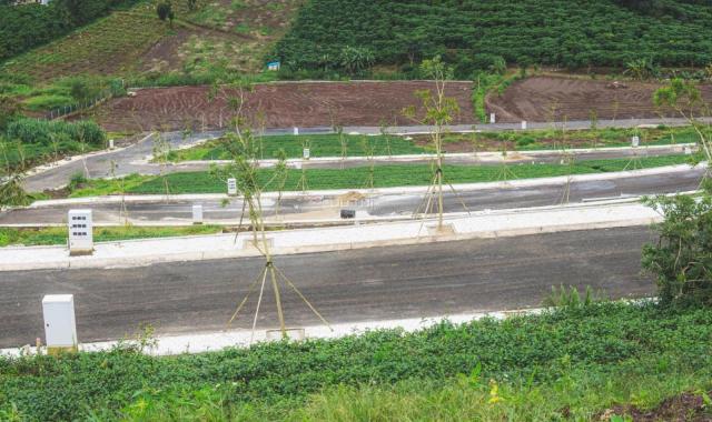 🏡LÔ ĐẤT 102M² FULL THỔ CƯ – HẠ TẦNG HOÀN CHỈNH, TRUNG TÂM BẢO LỘC