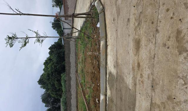 Đất trung tâm công nghệ cao và FPT xung quanh nhà trọ phủ kín