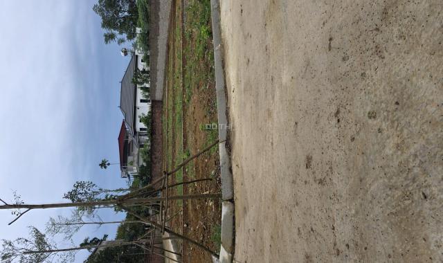 Đất trung tâm công nghệ cao và FPT xung quanh nhà trọ phủ kín