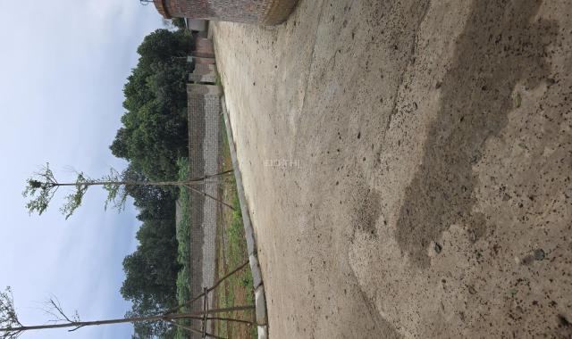 Đất trung tâm công nghệ cao và FPT xung quanh nhà trọ phủ kín