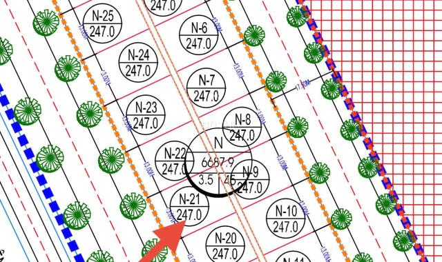 💎 Bán đất biệt thự hiếm 247m² tại Đình Bảng – Trục đẹp, gần trường – Sổ sạch, đầu tư đỉnh!