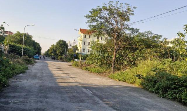 💎 Bán đất biệt thự hiếm 247m² tại Đình Bảng – Trục đẹp, gần trường – Sổ sạch, đầu tư đỉnh!