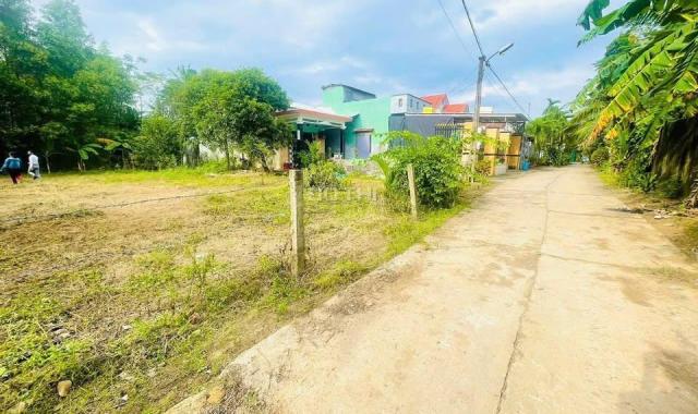 🔥 LÔ ĐẸP PHÚ HẢI – ĐẠI HIỆP | 196.8M² – NỞ HẬU – GIÁ TỐT!