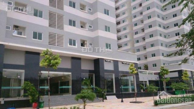 Bán căn hộ CC Thái Sơn - Long Phụng, chợ Bà Hom,Pouyen,48m2,trả trước 400 triệu nhận nhà