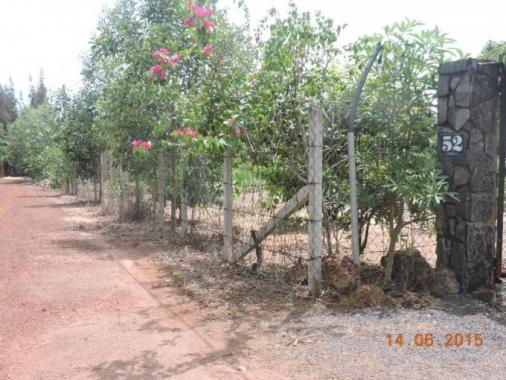 Bán đất nhà vườn gần giáo sứ Thiên Lộc, ấp Long Đức, Tam Phước, Biên Hòa