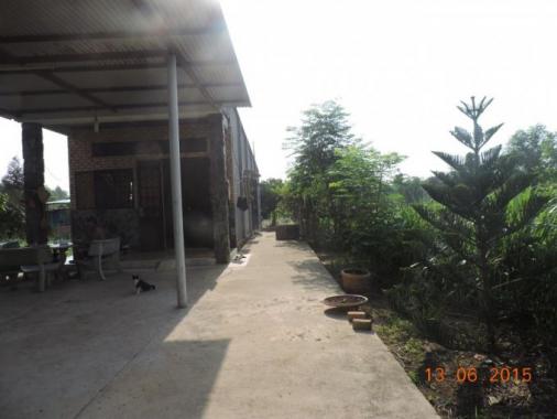 Bán đất nhà vườn gần giáo sứ Thiên Lộc, ấp Long Đức, Tam Phước, Biên Hòa