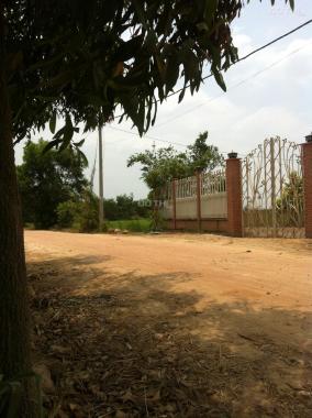 Cần bán căn nhà vườn 1700m2 giá 3,2 tỷ ở Tân Thạnh Đông gần đường Võ Văn Bích