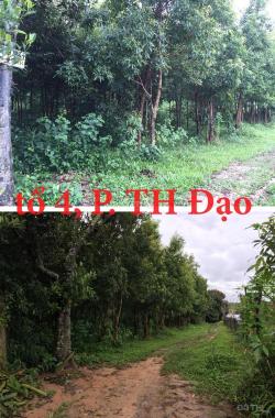 3 miếng đất tại TP Kon Tum cần bán rẻ