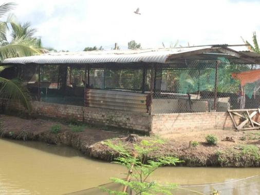 Do định cư nước ngoài cần bán lại căn biệt thự sân vườn tại huyện Thủ Thừa