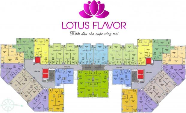 Lotus Flavor 915 triệu giá tốt nhất ngã 4 Âu Cơ - Lạc Long Quân - NH hỗ trợ