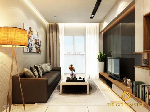 Bán căn hộ chung cư tại dự án Hưng Phát Golden Star, Quận 7, Hồ Chí Minh diện tích 68m2 giá 1.7 tỷ