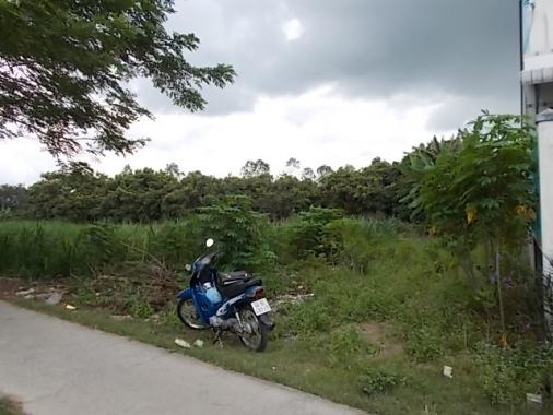 Đất mặt tiền đường cách chợ Cầu Đường Chừa, TP Vĩnh Long 300m