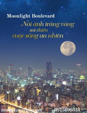 Căn hộ Moonlight Boulevard 510 Kinh Dương Vương chính thức mở bán. LH 0915696323