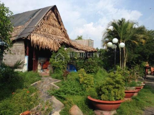 Bán nhà vườn đẹp 10.000 m2 nhiều cây ăn trái, ao, xã Nhị Thành, huyện Thủ Thừa, Long An giá 6 tỷ