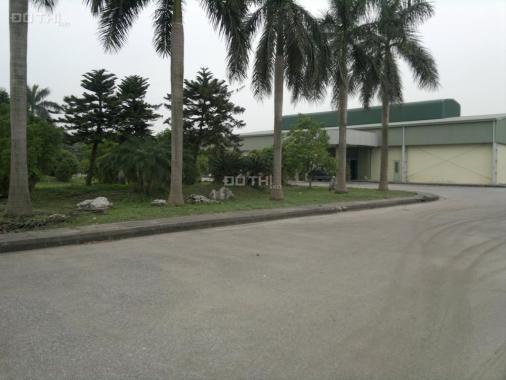Bán xưởng đẹp 14000m2 diện tích tổng 50000m2 tại Thái Bình về sản xuất được luôn
