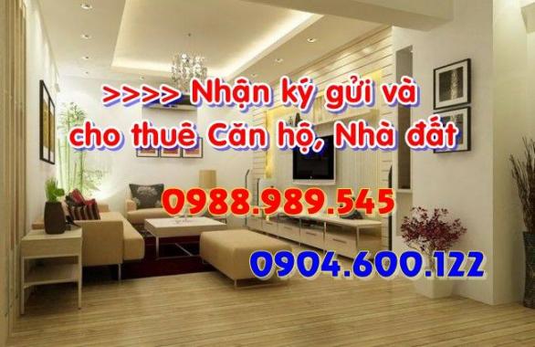 Cho thuê CH Handico 6 – Hoàng Đạo Thúy, Lê Văn Lương, LH: Mr.Huy 0904.600.122