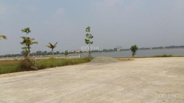 Bán đất tại đường Tỉnh Lộ 10, Xã Bình Lợi, Bình Chánh, Hồ Chí Minh, diện tích 130m2, giá 6 triệu/m²
