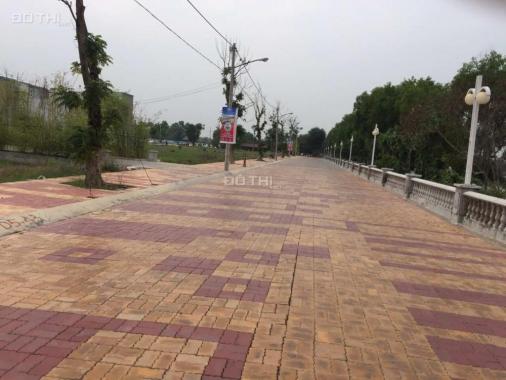Hot, đất vàng đầu năm 2017 khu đất gần đường Phan Văn Hớn, rộng 15ha đã có sổ hồng riêng