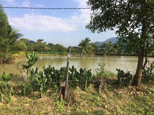 Bán 2.4 ha đất làm vườn và ao nuôi cá - Giá 1.8 tỷ - Diên Khánh - Khánh Hòa