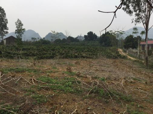 Bán 1000 m2- 6000m2 đất thổ cư, vườn tại Liên Sơn, Lương Sơn, Hoà Bình