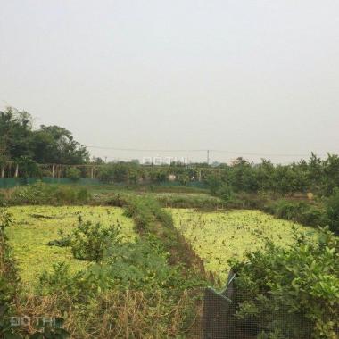 Bán trang trại sinh thái thuộc xã Kim Lan - Huyện Gia Lâm - Hà Nội