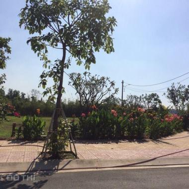 Bán đất mặt tiền An Phú Đông, đối diện Vạn Phúc Riverside, giá 15,9 tr/m2, đã có sổ hồng riêng từng