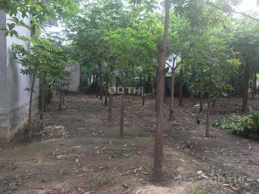 Cần bán 4 lô đất tại khu phố 3 phường Đài Sơn, sau công an phường