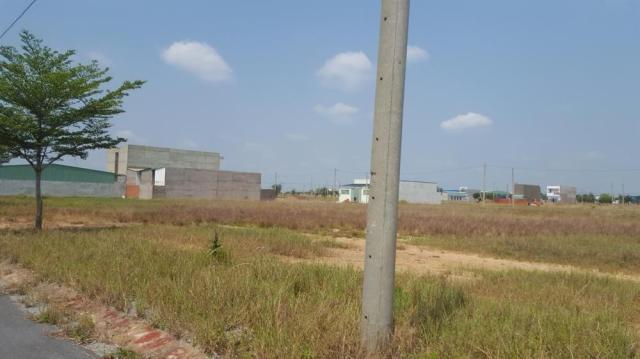 Cần bán đất dự án đường Trần Văn Giàu sổ hồng riêng 100m2, nhanh tay lấy vị trí đẹp