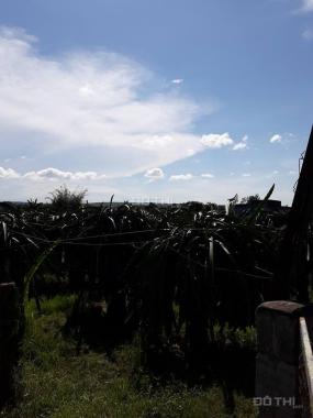 Bán trang trại mặt đường Quốc Lộ 1, thuộc xóm 4, xã Hồng Sơn, Hàm Thuận Bắc