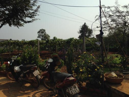Bán trang trại cực đẹp phường Thành Nhất, TP. Buôn Ma Thuột