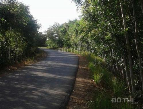 Chính chủ bán 9 hecta đất vườn, mặt tiền đường huyện Tân Phú, Đồng Nai, LH: 0917128644