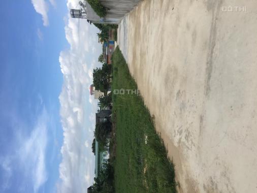 Bán đất tại đường Bùi Hữu Nghĩa, Phường Trảng Dài, Biên Hòa, Đồng Nai giá 550 triệu