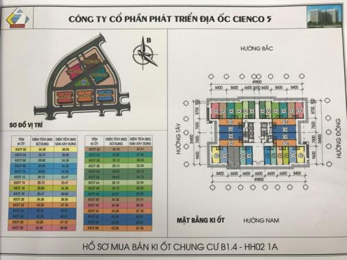 Bán kiot tầng 1 chung cư Thanh Hà Cienco 5, giá thấp nhất thị trường