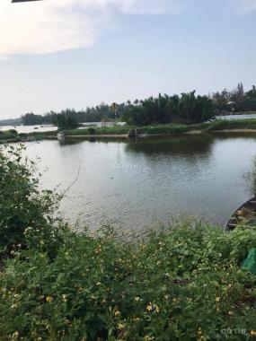 Cần bán đất tại làng Rau Trà Quế, view sông, cách biển 500m