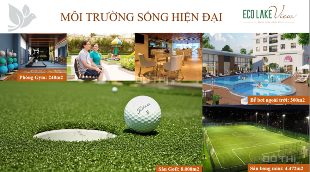 Ngay trong hôm nay, chiết khấu tới 30 triệu khi mua căn hộ Eco Lake View