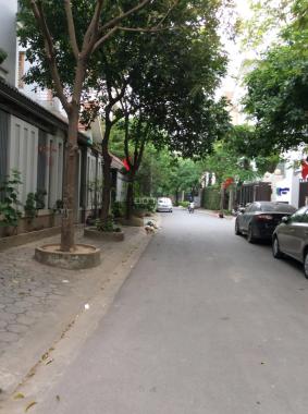 Cho thuê nhà mặt phố Trần Duy Hưng, Cầu Giấy để kinh doanh (phố sầm uất nhất quận Cầu Giấy)