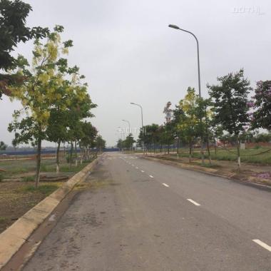 Bán đất nền dự án khu đô thị Nam Vĩnh Yên