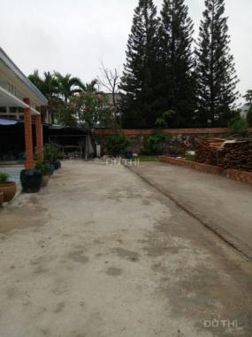 Bán đất rẻ định cư sau trường tiểu học Bình Thuận, Thuận An, Bình Dương