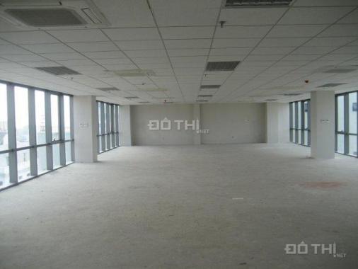 Cho thuê văn phòng phố Hoàng Cầu, Đống Đa (230m2 vuông vắn, đầy đủ ánh sáng)