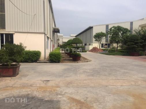 Công ty Gia Bình cho thuê kho xưởng DT 3000m2 KCN Phố Nối B, Hưng Yên. Lh 0979 929 686
