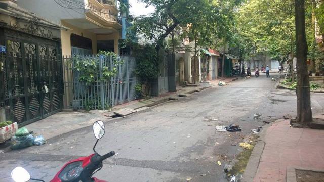 Cho thuê nhà phân lô ngõ ô tô tránh tại Trần Điền, khu ĐTM Định Công giá 15tr/th