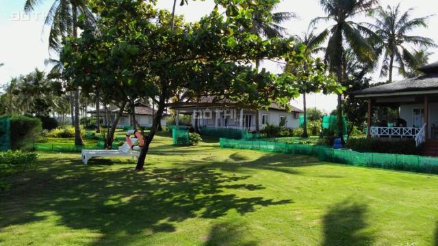 Milton Phú Quốc dự án nghỉ dưỡng bán 8 khách sạn, quy mô 104 – 111 phòng