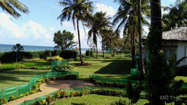 Milton Phú Quốc hệ thống khách sạn mặt tiền biển duy nhất tại Bãi Trường, Phú Quốc